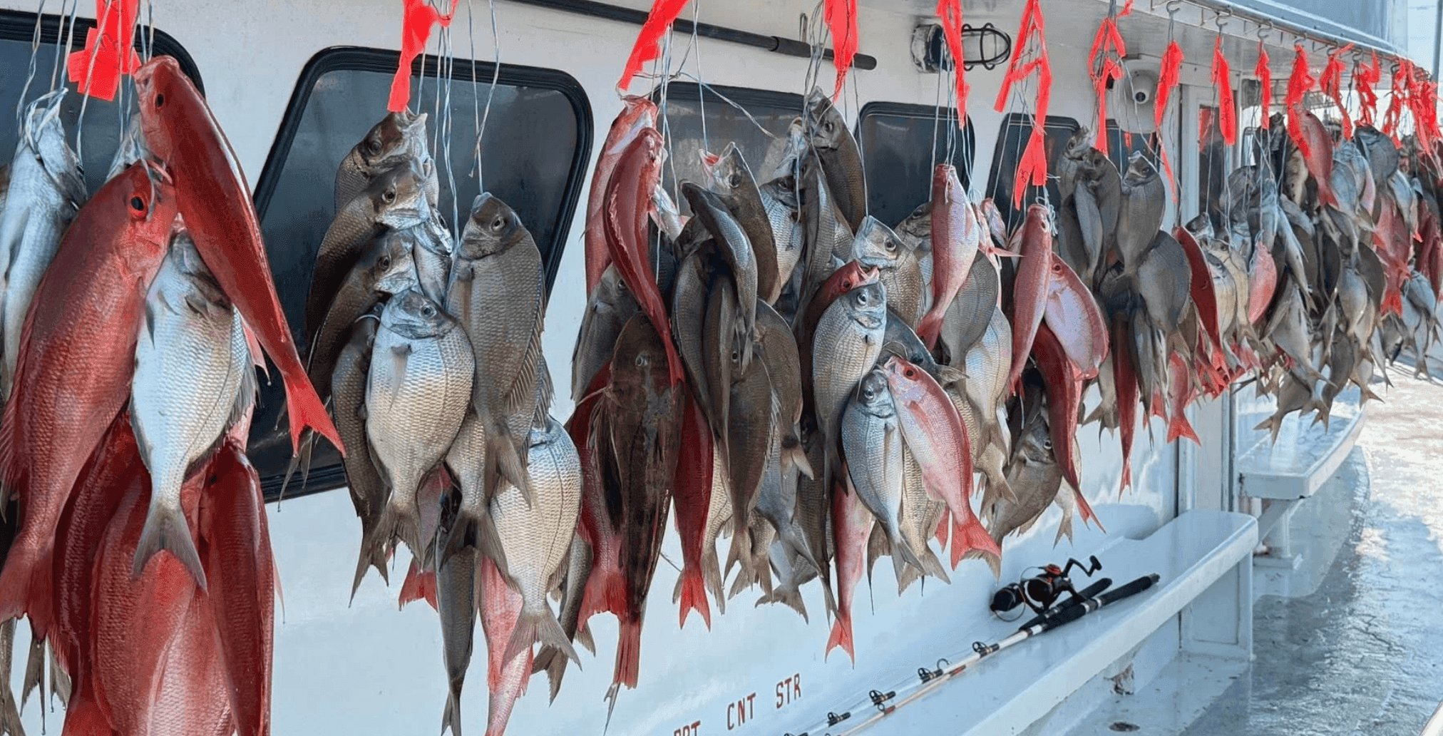 Anglers fishing on a party boat charter off the US coast