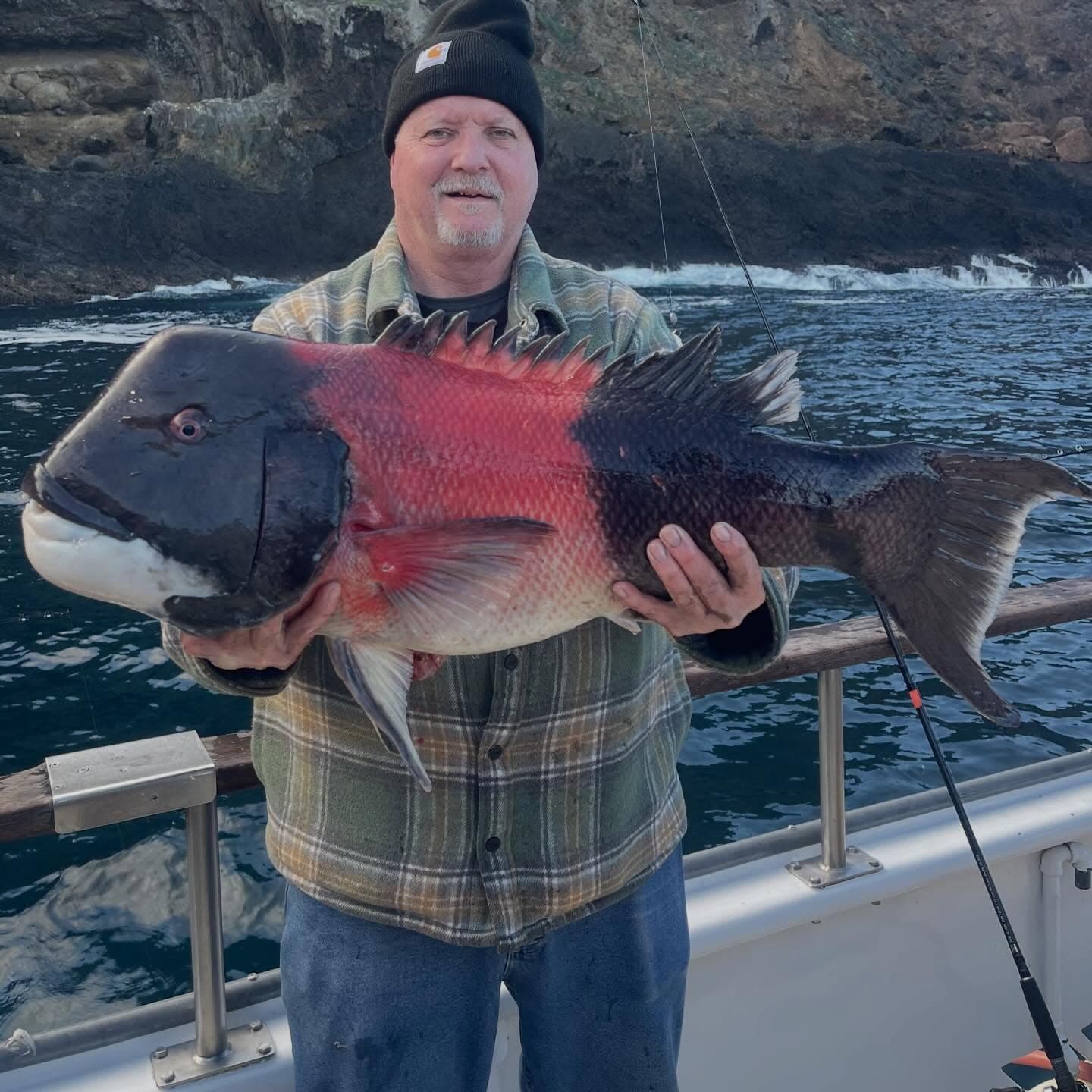 This is why I always go back.